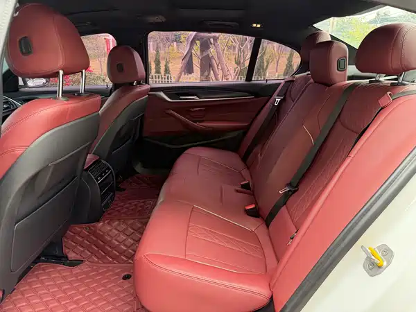BMW 5 Series 2021