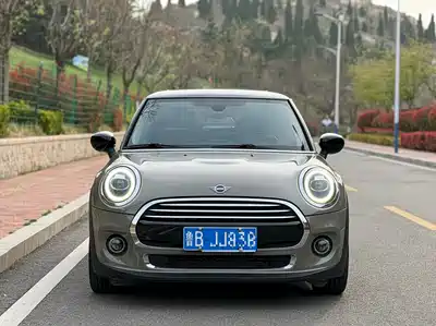 MINI MINI 2020