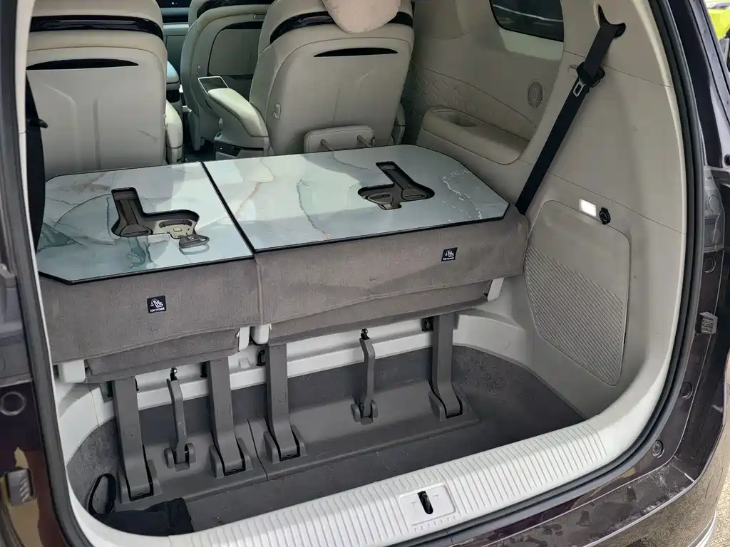 Dongfeng Forthing Xinghai V9 2024 — фото 15