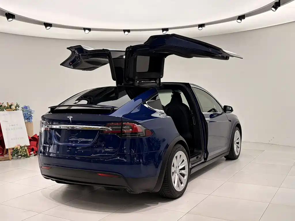 Tesla Model X 2018 — фото 4