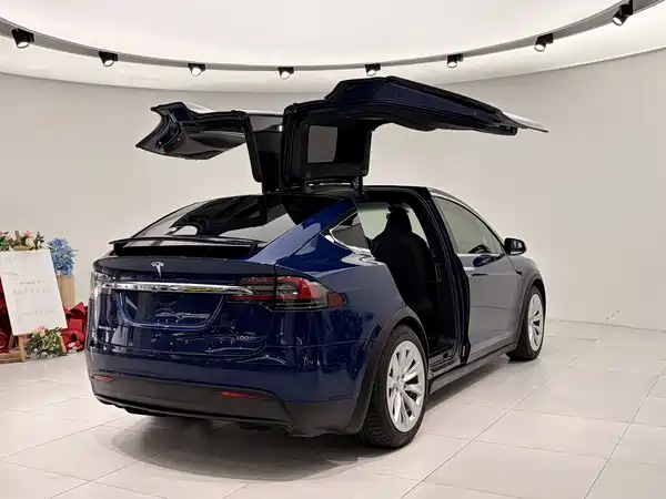 Tesla Model X 2017