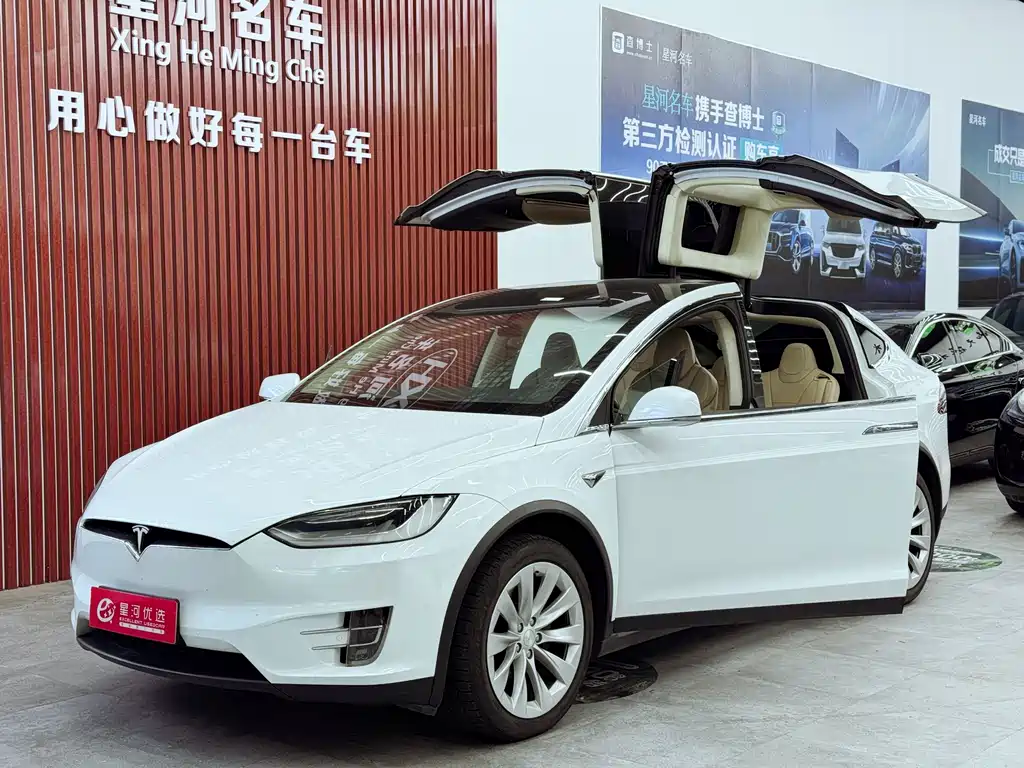 Tesla Model X 2017 — фото 8