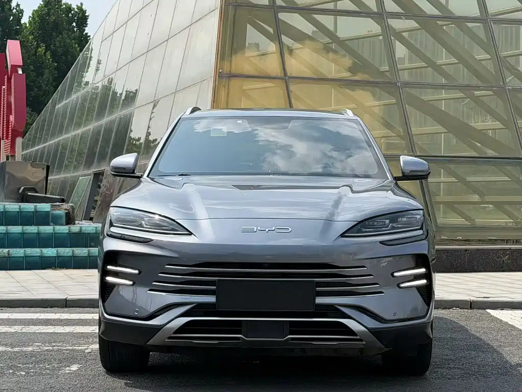 BYD Song PLUS New Energy 2024 — фото 2