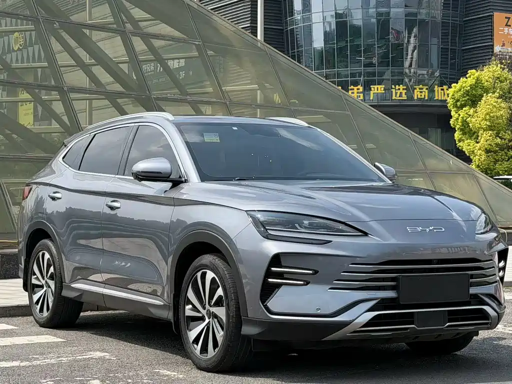 BYD Song PLUS New Energy 2024 — фото 3
