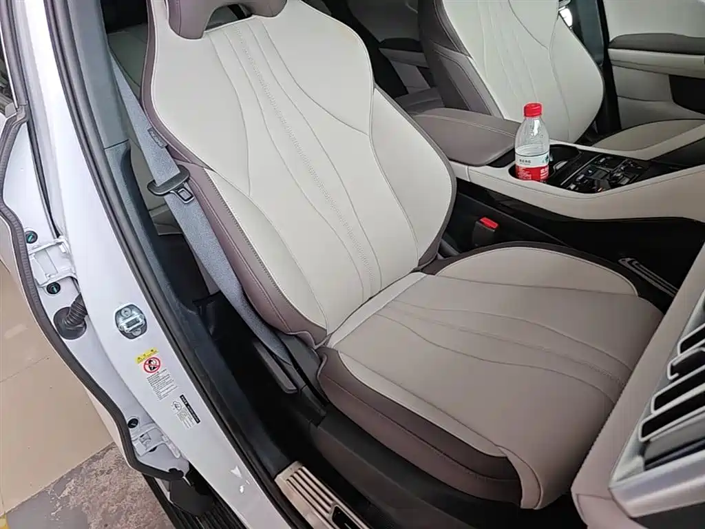 BYD PLUS New Energy 2025 — фото 25