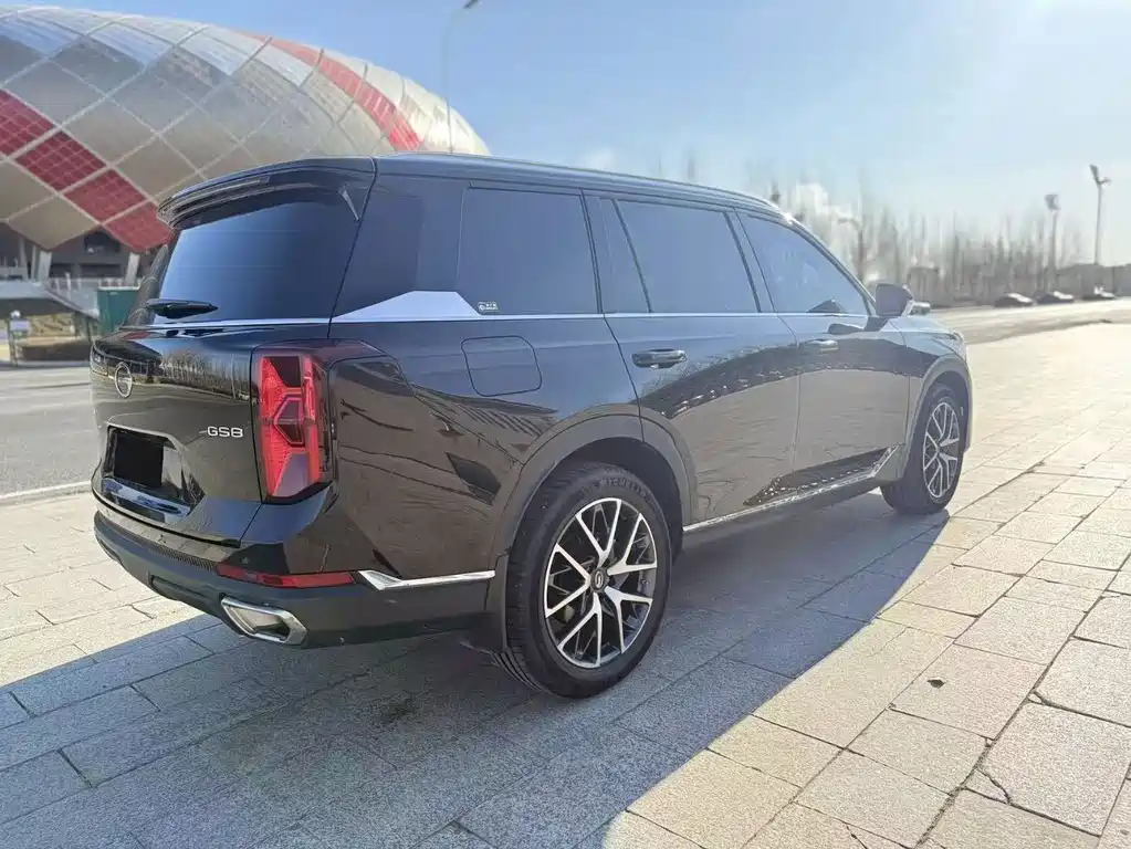 GAC Motor Trumpchi GS8 2024 — фото 6