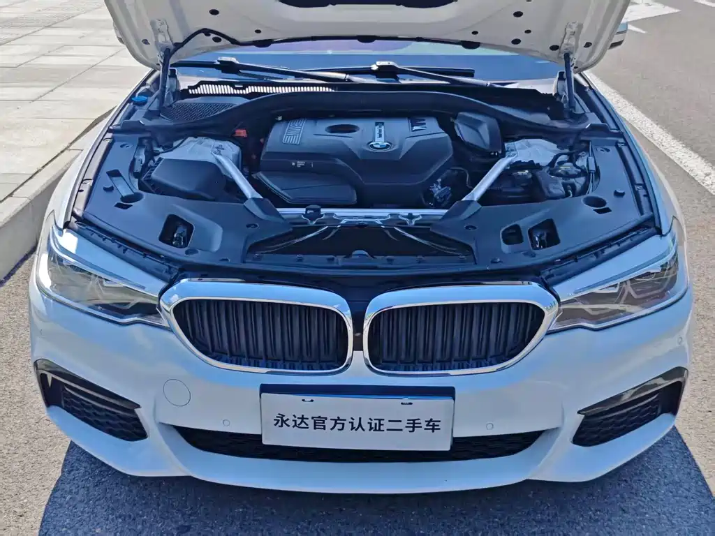BMW 5 Series 2018 — фото 18