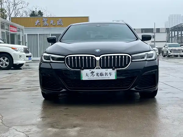 BMW 5 Series New Energy 2022