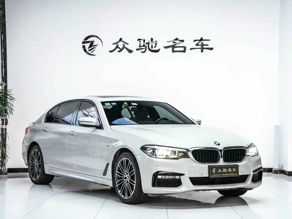 BMW 5 Series 2017 — фото 3