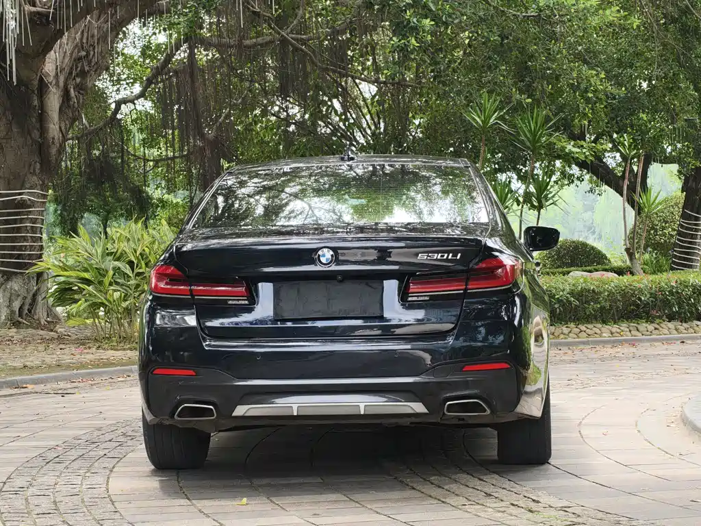 BMW 5 Series 2021