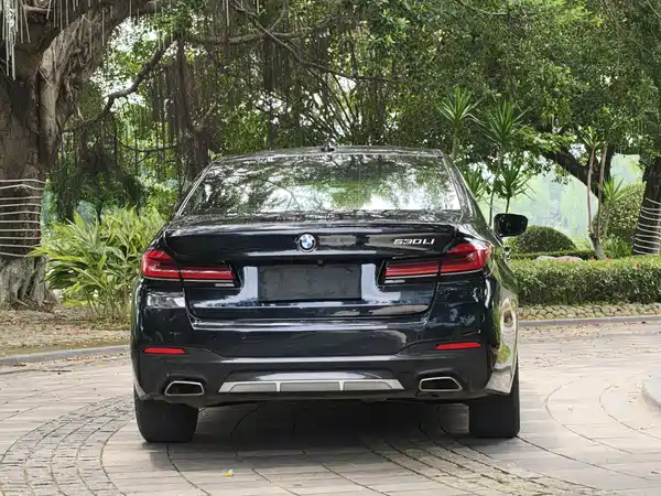 BMW 5 Series 2021