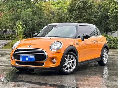 MINI MINI 2015