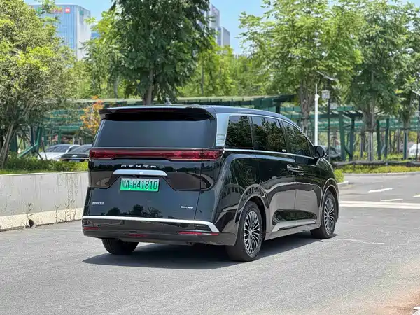 Denza D9 2024