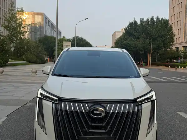 GAC Trumpchi M8 2024