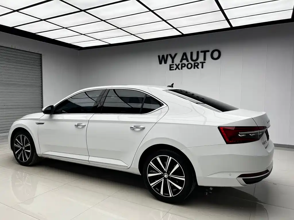 Skoda Speedy 2024