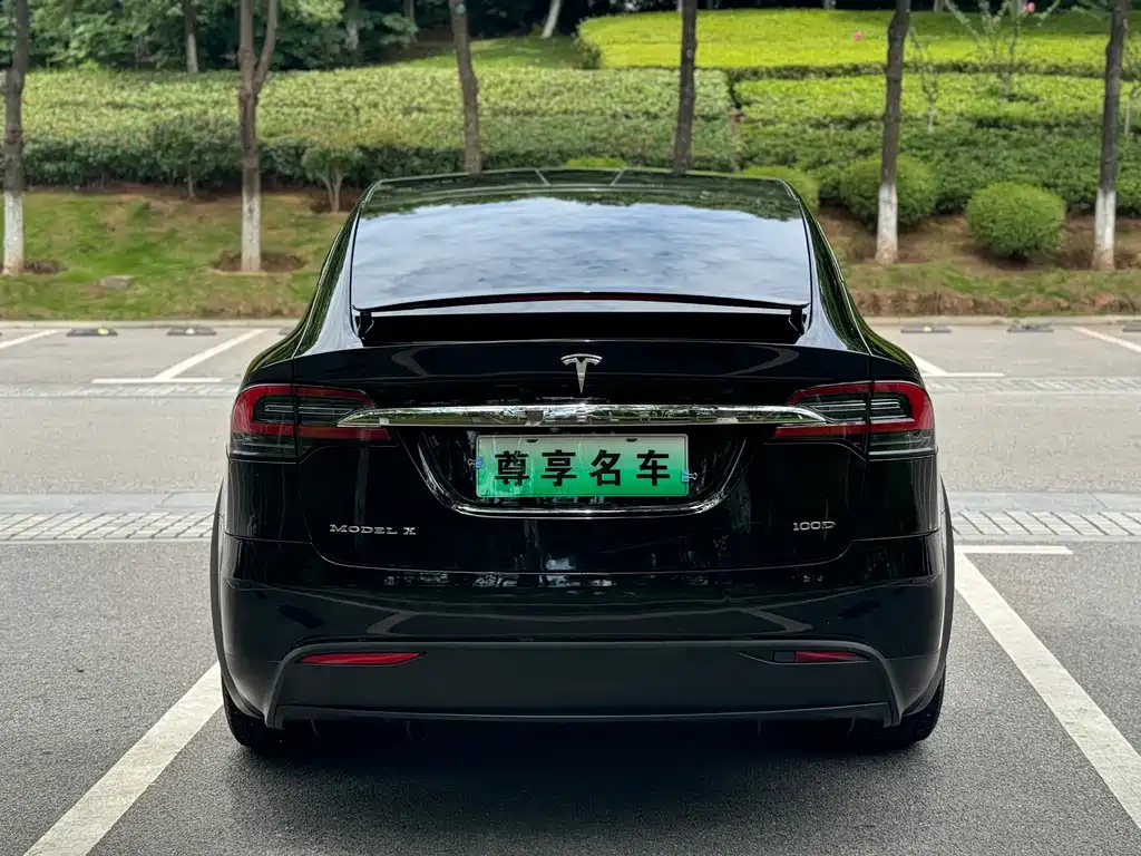 Tesla Model X 2019 — фото 5