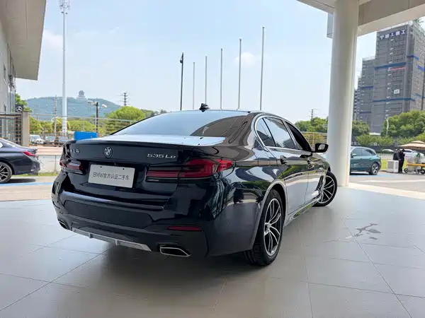 BMW 5 Series New Energy 2021