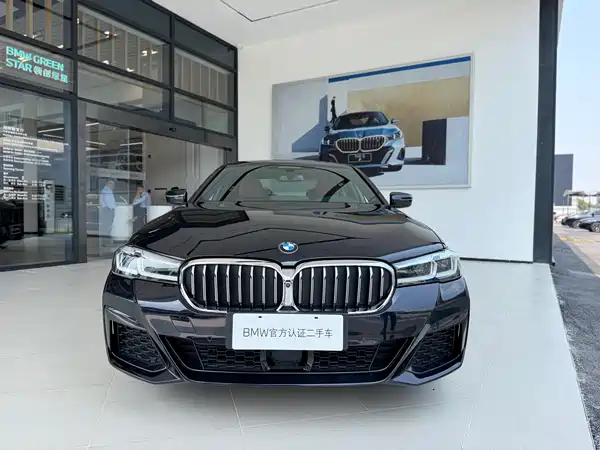 BMW 5 Series New Energy 2021