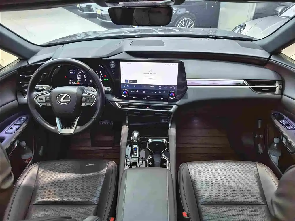 Lexus RX 2024 — фото 10