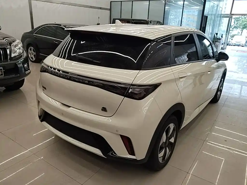 BYD Dolphin 2024