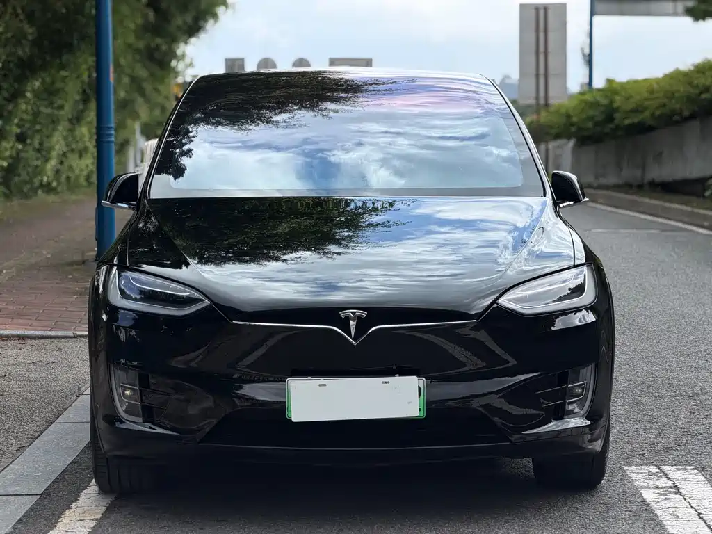 Tesla Model X 2019 — фото 2