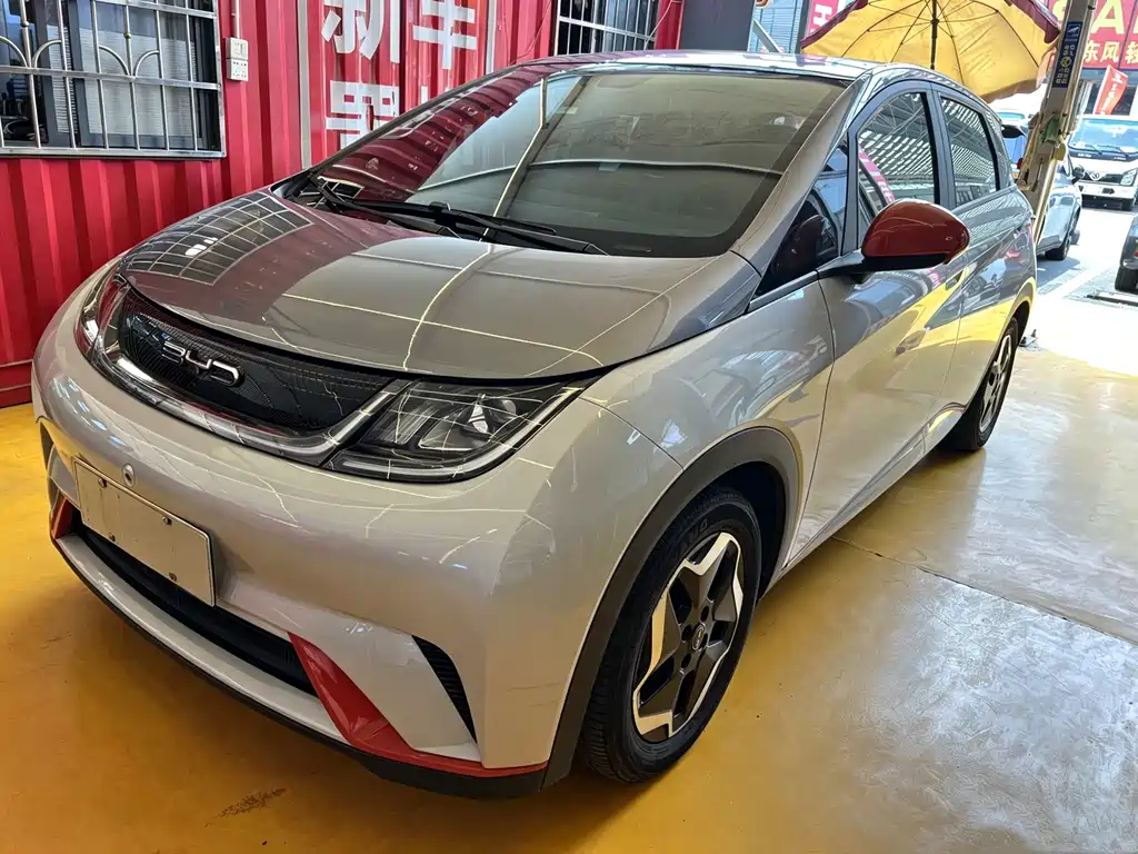 BYD Dolphin 2022