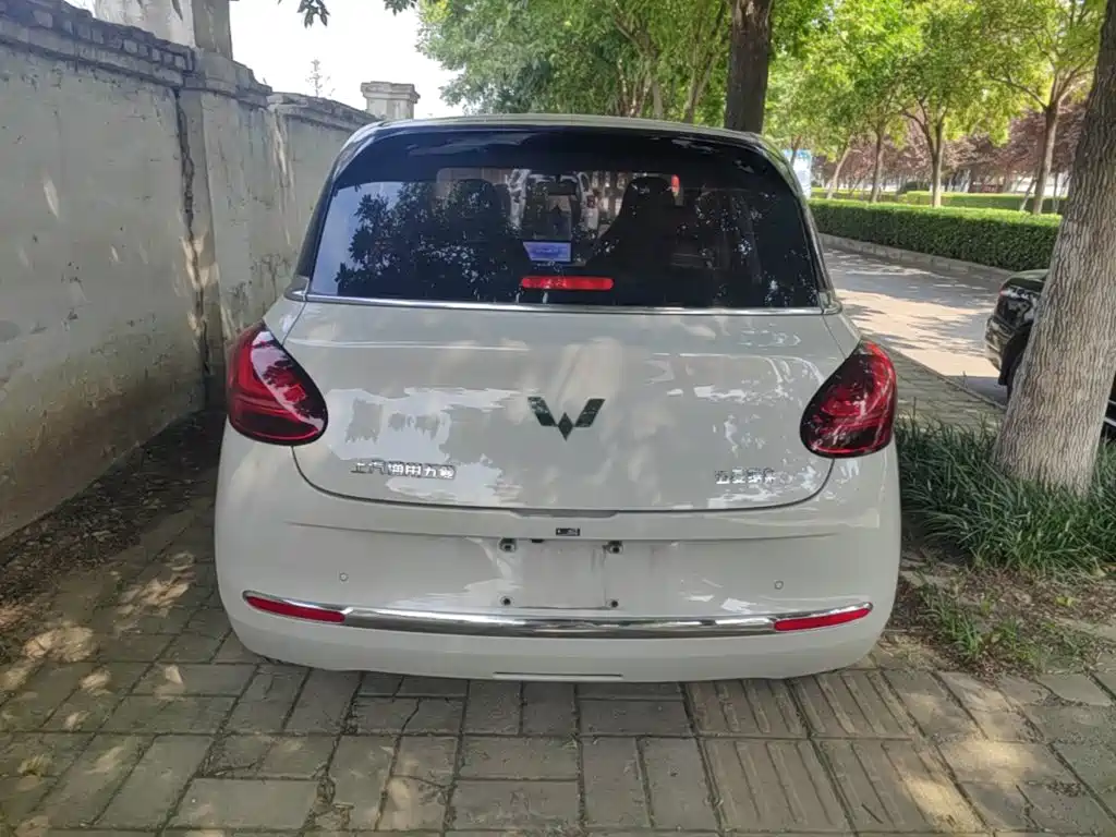 Wuling Bingo 2024