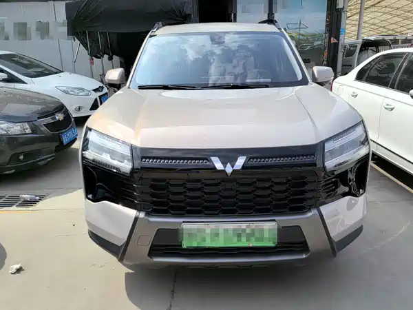 Wuling Starlight 560 New Energy 2025