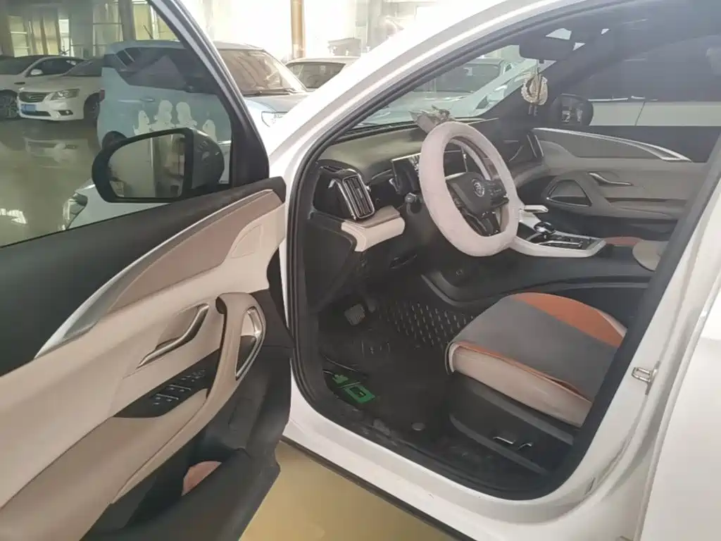 BYD Song Pro New Energy 2024 — фото 16