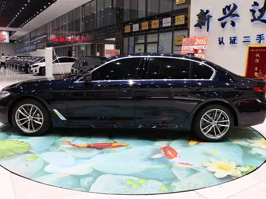 BMW 5 Series New Energy 2023