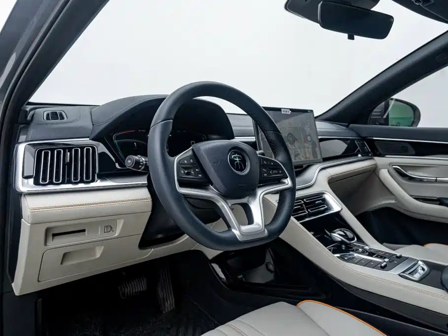 BYD Song PLUS New Energy 2024 — фото 11