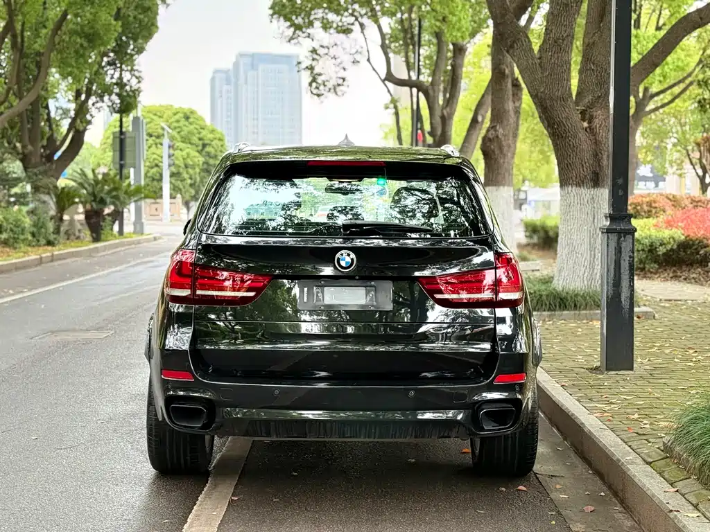 BMW X5 2017 — фото 9