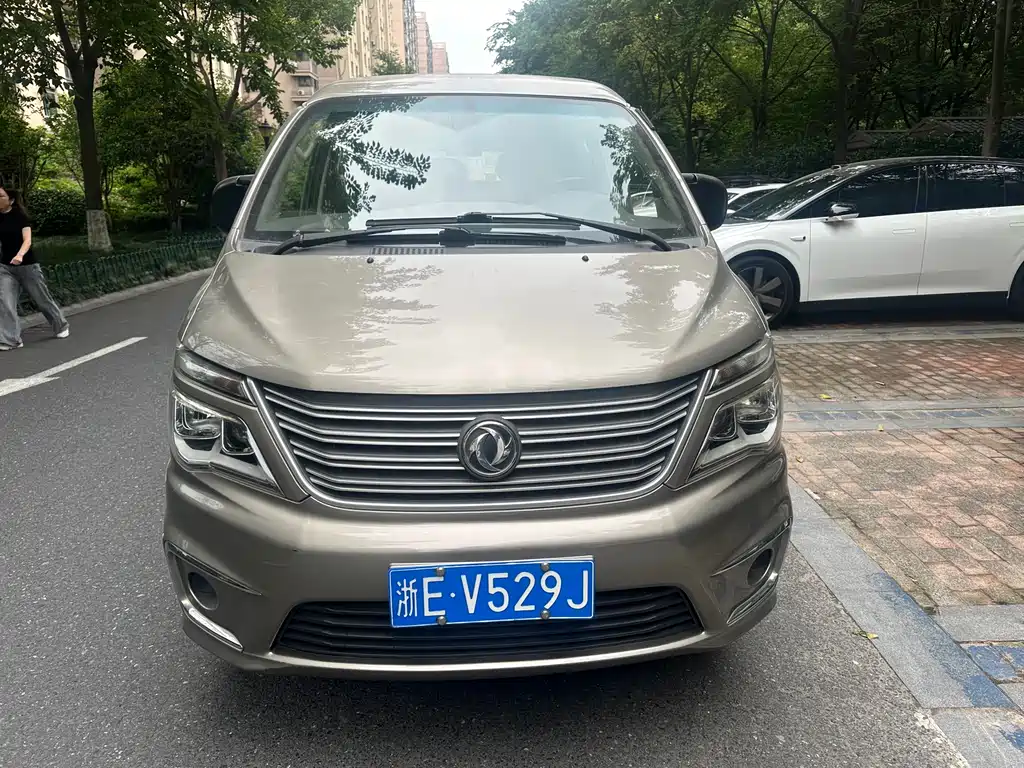 Fengxing Lingzhi 2019
