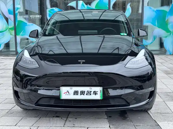 Tesla Model Y 2021