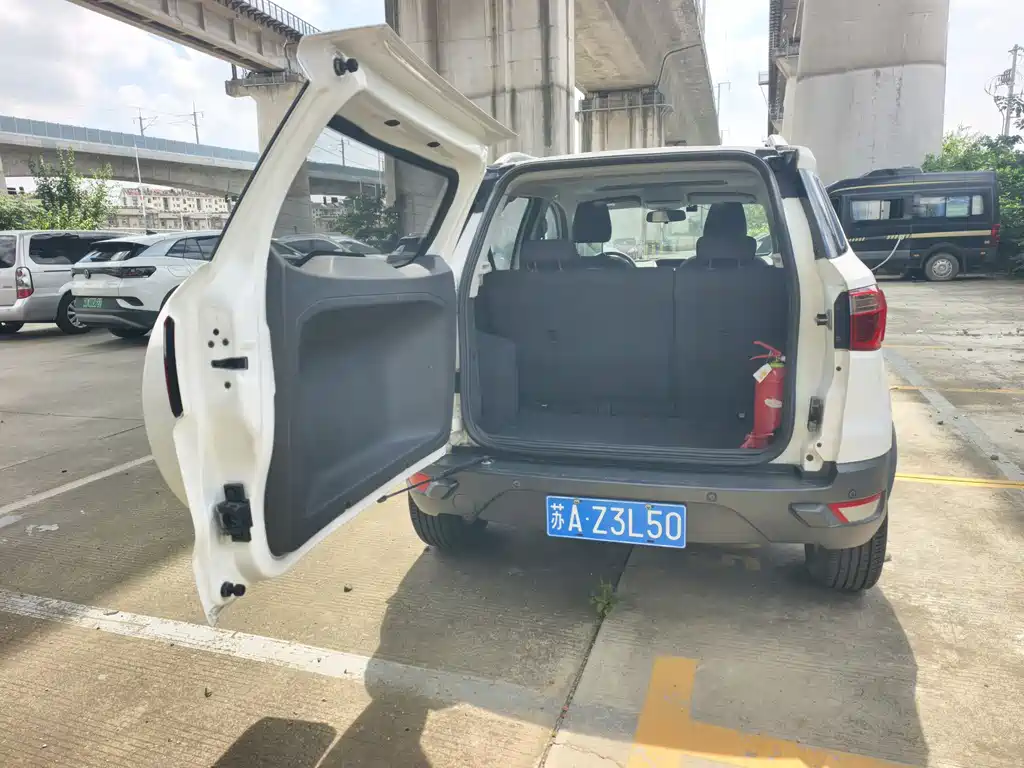 Ford Ecosport 2013 — фото 13