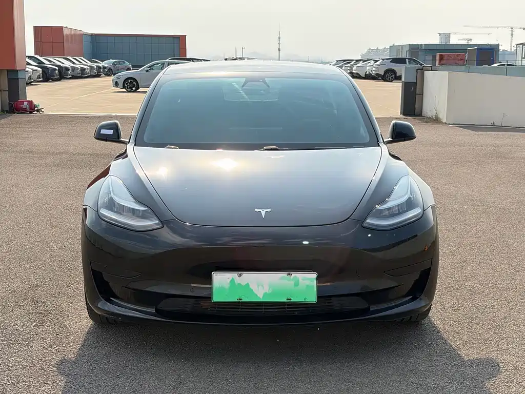 Tesla Model 3 2020 — фото 2
