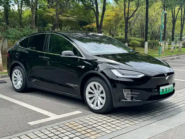 Tesla Model X 2019