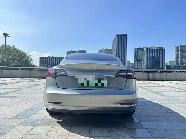 Tesla Model 3 2021