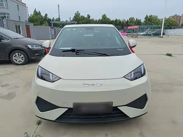BYD Seagull 2026