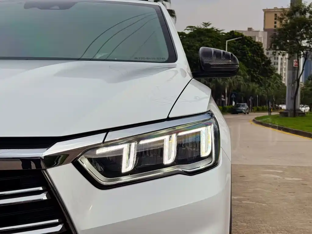 BYD Pro New Energy 2020 — фото 8
