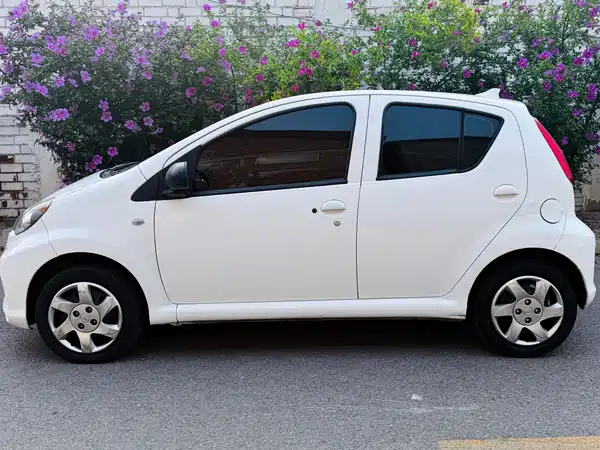 BYD e1 2019