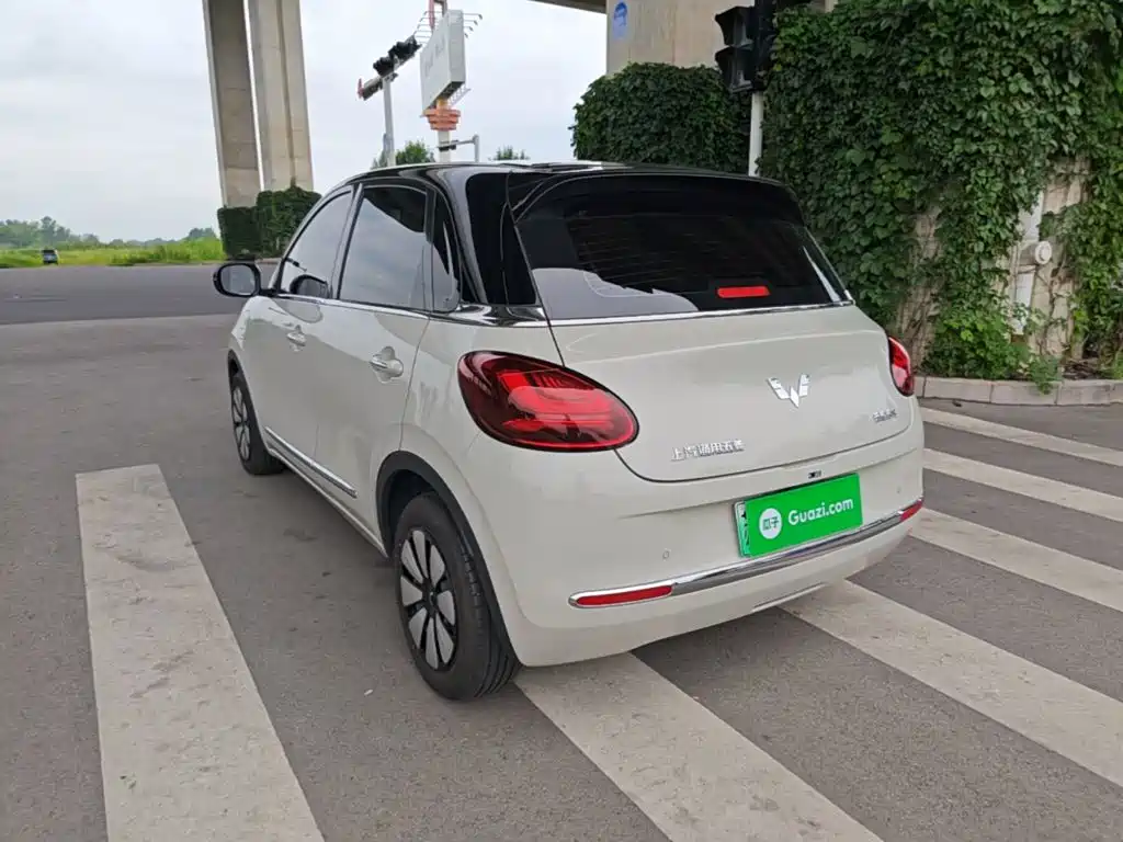 Wuling Bingo 2024