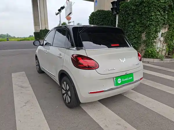 Wuling Bingo 2024