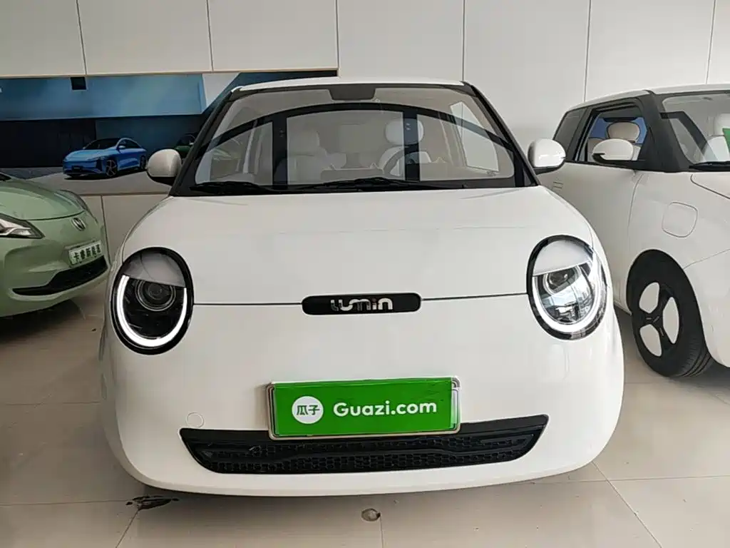 Qiyuan Lumin 2025