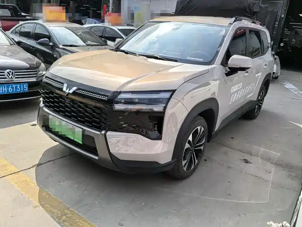 Wuling Starlight 560 New Energy 2025