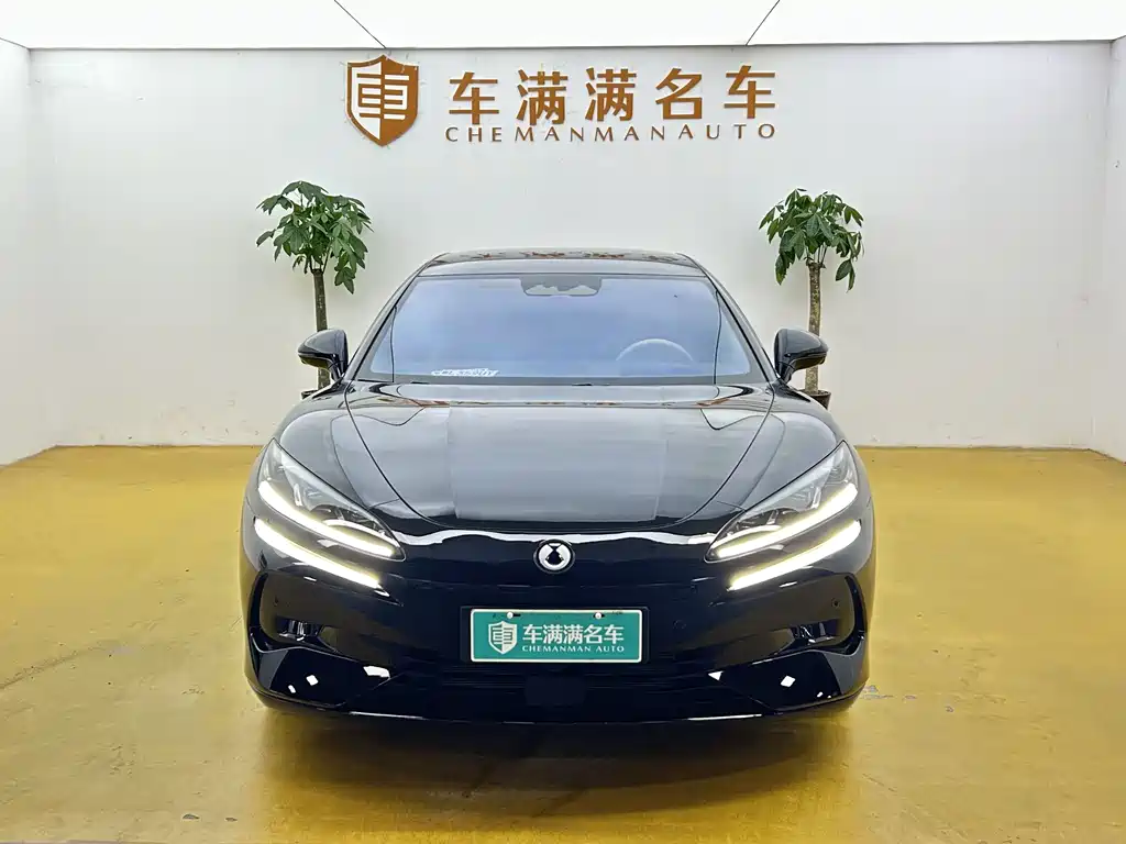 Denza Z9 2024