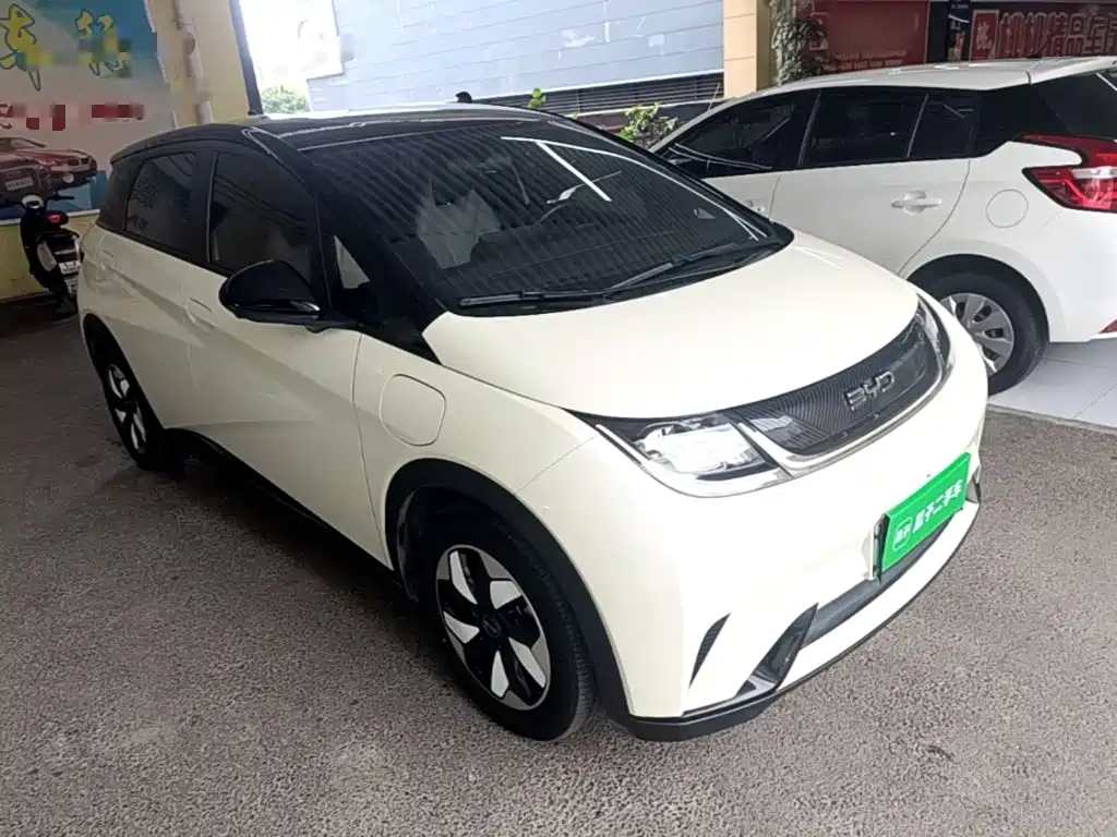 BYD Dolphin 2024
