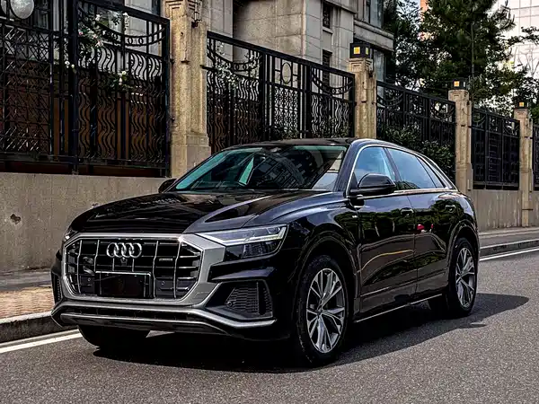 Audi Q8 2019