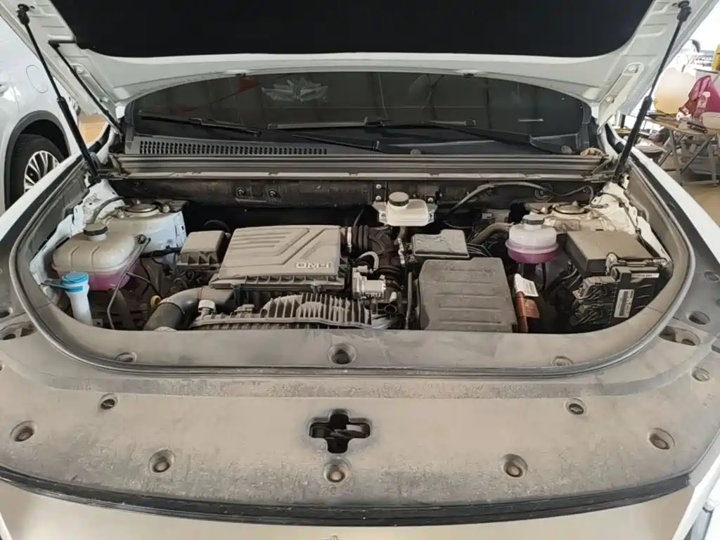 BYD Song Pro New Energy 2024 — фото 20