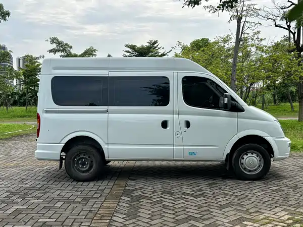 Maxus V80 2024